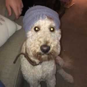 Meet your Posher, Troy